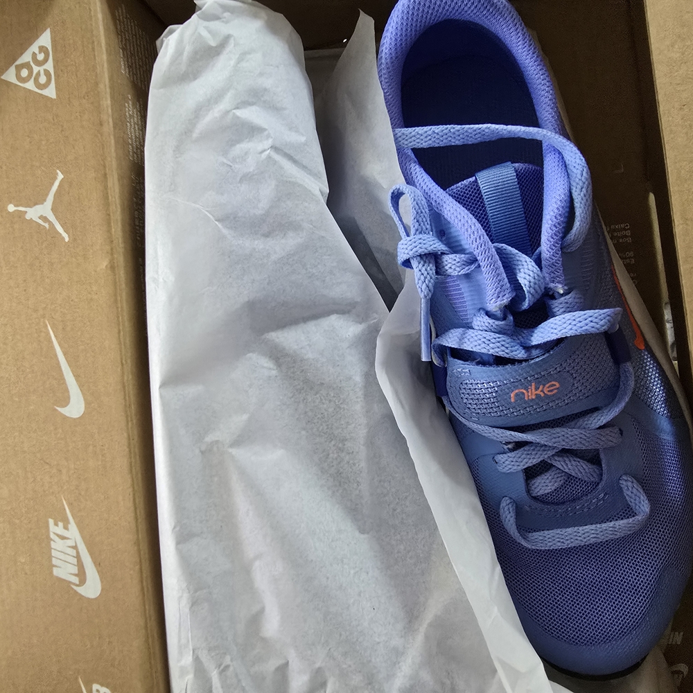 Nike  Blue Sneakers Brand New Never Worn